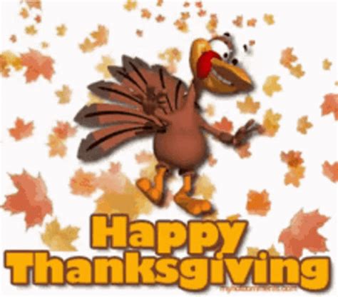 Happy Thanksgiving GIF - Happy Thanksgiving - Discover & Share GIFs