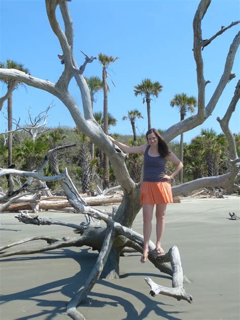 Bulls Island, South Carolina: Charleston's Pristine Barrier Island