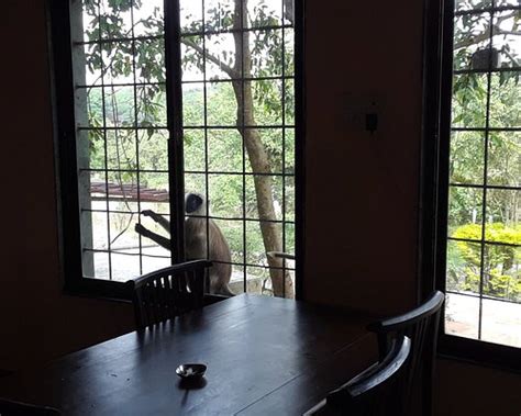 MTDC MOZARI POINT RESORT (Chikhaldara) - Hotel Reviews & Photos ...
