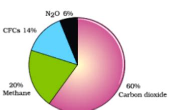 CUET Biology Important 100 Questions with Answers
