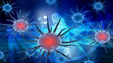 Can Dexamethasone be used to treat coronavirus? - BusinessToday