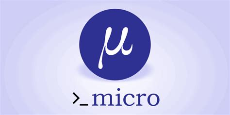 Image result for How to Use Micro Text Editor