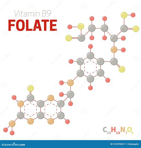 Image result for Folate Molecular Formula