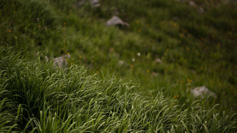 Download wallpaper 3840x2160 grass, stones, mountains, greenery ...