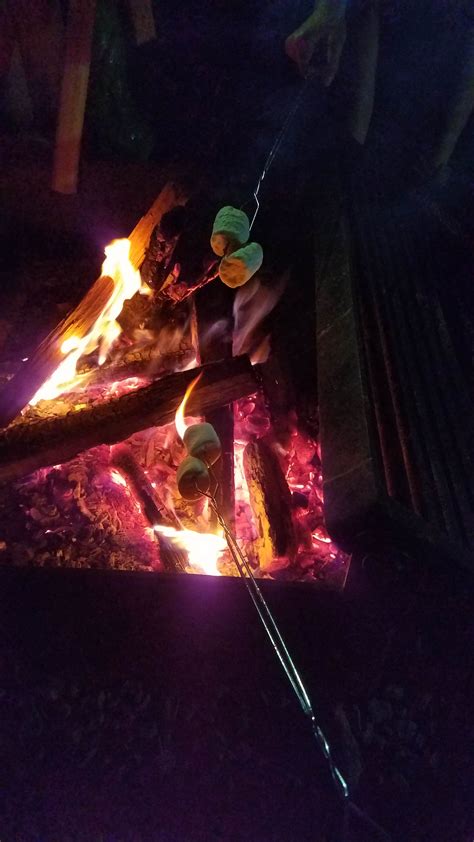 North Mills River Camping | Mills river, NC