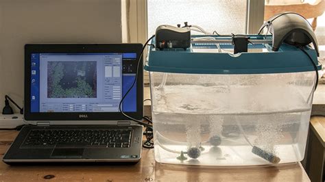 Image result for Random Fish in a Graph