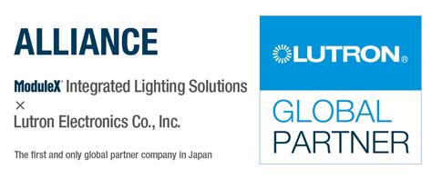 Image result for Modulex Painting