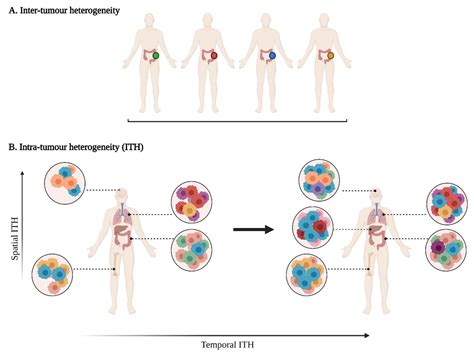 Deciphering Tumour Heterogeneity: From Tissue to Liquid Biopsy