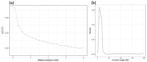 Runs of Homozygosity and Gene Identification in Pelibuey Sheep Using ...