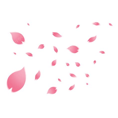Cherry Blossom Petals Falling