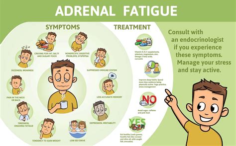 Adrenaline Is Released By Which Gland Life After Adrenal Gland Removal ...