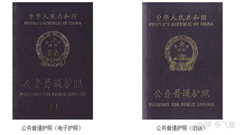 护照的类型-金吉列留学官网