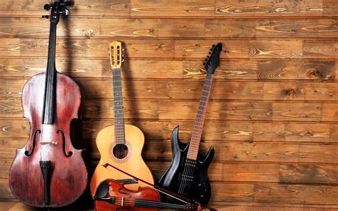 Image result for Examples of String Instruments