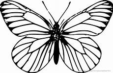 ausmalbilder tiere schmetterling ausmalbilder tiere ausmalbilder schmetterling ausmalbilder tiere schmetterling ausmalbilder tiere ausmalbilder schmetterling