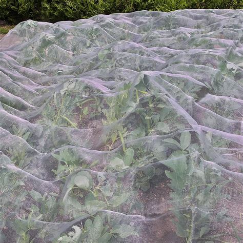 Image result for Insect Mesh Netting
