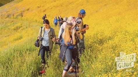 Image result for Quick Meetup