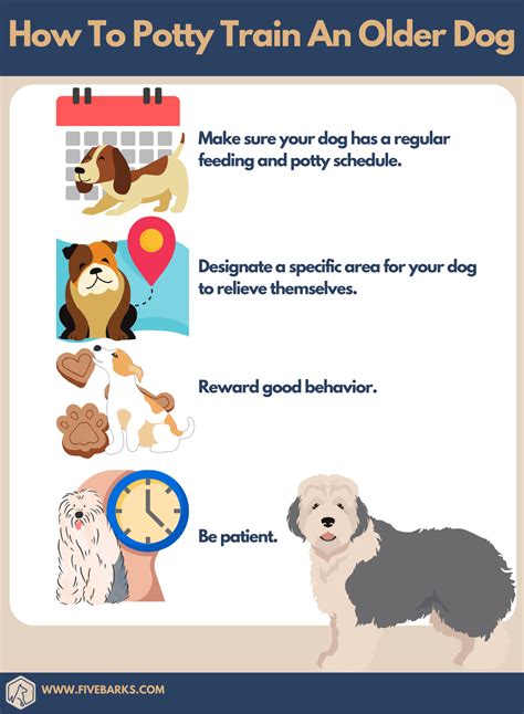 How To Potty Train An Older Dog - Housebreaking Your Senior Pet
