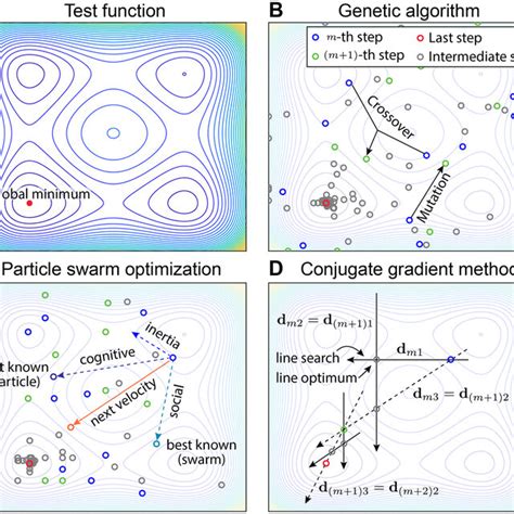 Image result for Optimization Function