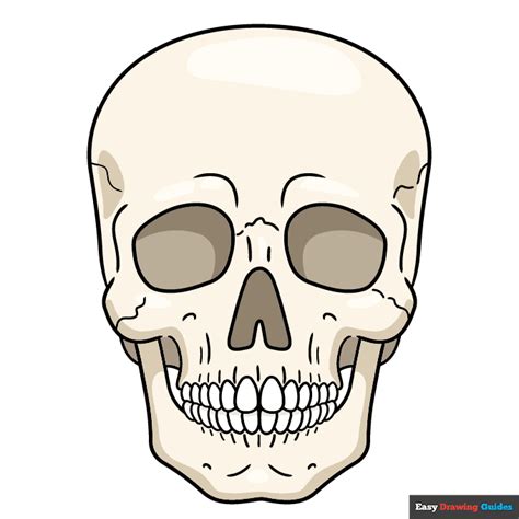 Image result for Skull Drawing Tutorial