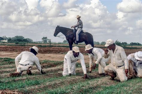 Texas’ Plantation Prisons: Inside a 200-Year History of Forced Labor ...