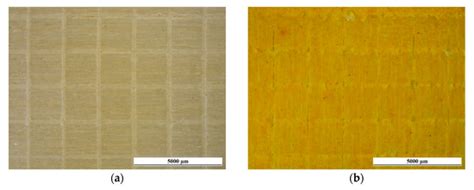Eco-Friendly Multilayer Coating Harnessing the Functional Features of ...