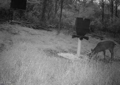 14405 Ohio 83, Coshocton, OH 43812 [Lot/Land] | Homes.com