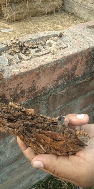 Dry Cow Dung Supplier,Wholesale Dry Cow Dung Distributor from Kolkata India