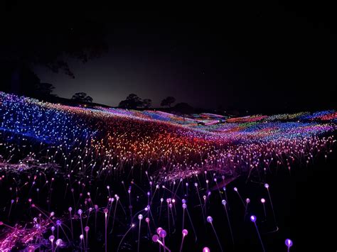It’s official – popular Field of Light at Sensorio is here to stay ...