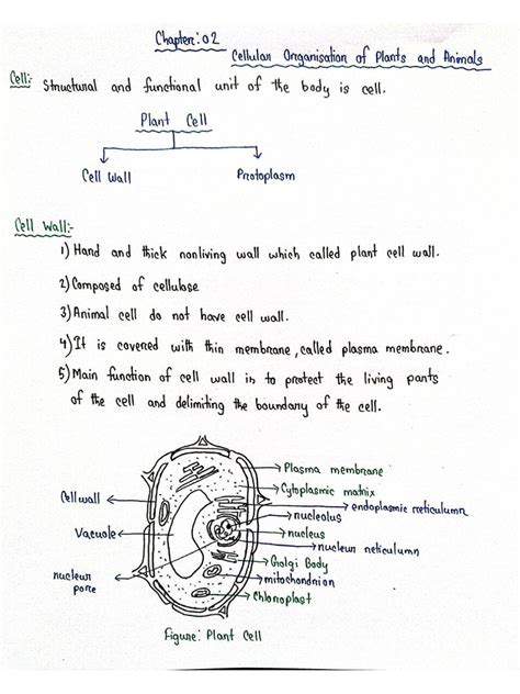 Image result for Science vs Commerce Chapter 2