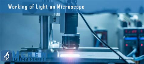 Image result for Lamp Light Source Microscope