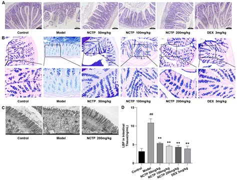 Preventive Effect of the Total Polyphenols from Nymphaea candida on ...