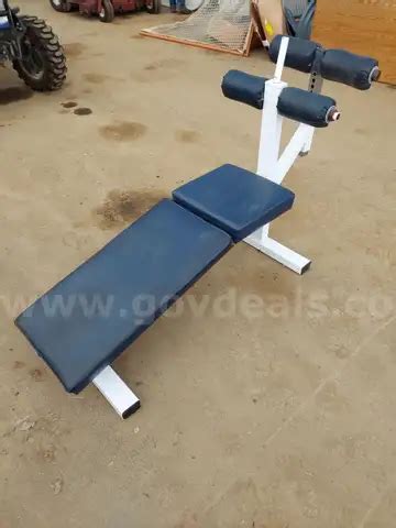 Decline Abdominal Bench | GovDeals