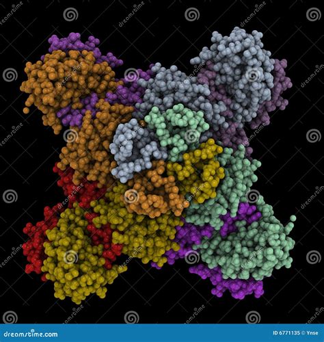 Image result for Protein Complex Function