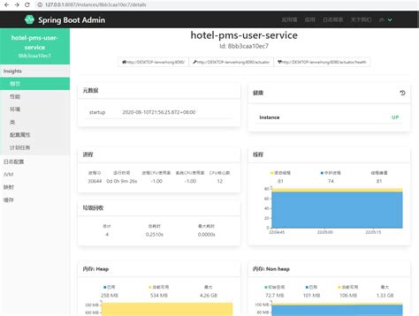 Spring Boot Admin 的图像结果