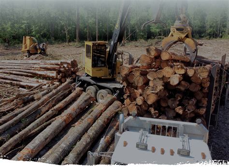 Services | Brier Creek Timber - Evans, GA
