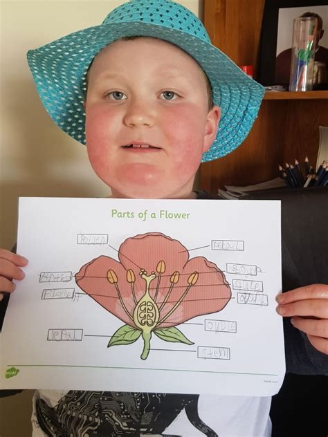 Image result for Class 2 Science Plant