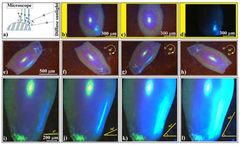 Shaping in the Third Direction: Colloidal Photonic Crystals with ...