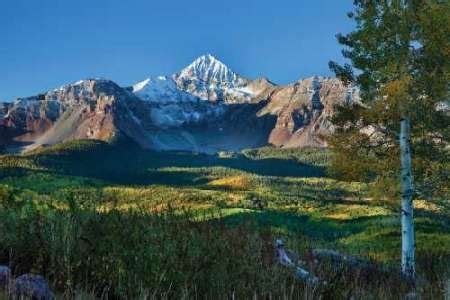 Wilson Peak Aspens II by Malvin, Larry - Fine Art Print on Paper : 27. ...