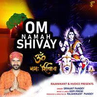 OM NAMAH SHIVAY Song Download: Play & Listen OM NAMAH SHIVAY all MP3 ...