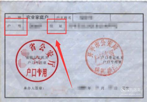 无需居住证！不用回老家，外省外市户籍可在广东办出入境证件啦！