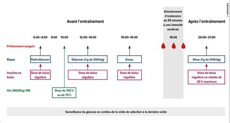 Sport et insuline – y a-t-il des différences? L’étude ULTRAFLEXI-1 app ...