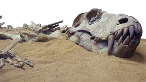 8 animales extintos que nunca más volveremos a ver (y uno que volvió de ...