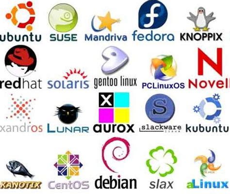 Image result for Variants of Linux