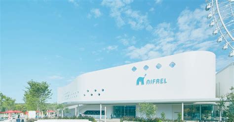 Interact with Majestic Animals in this NIFREL Interactive Aquazoo E ...