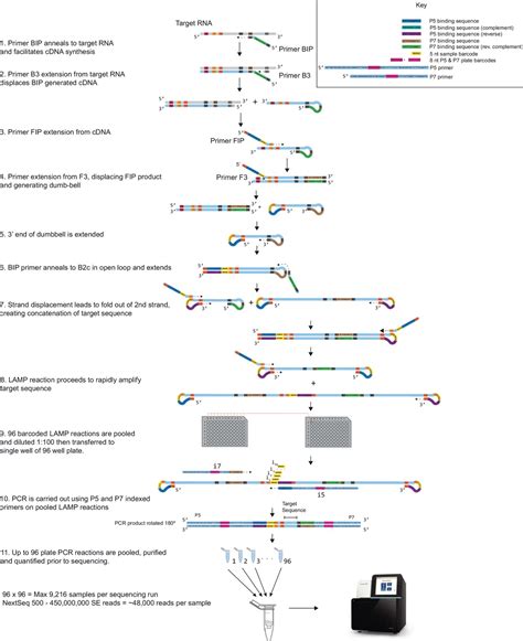 Lamp Technology 的图像结果