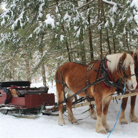 High View Farm (2026) - Alles wat u MOET weten voordat je gaat (met ...
