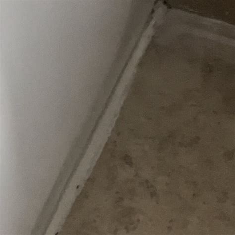 GARNER HOTEL AUGUSTA WEST BY IHG - Hotel Reviews, Photos, Rate ...