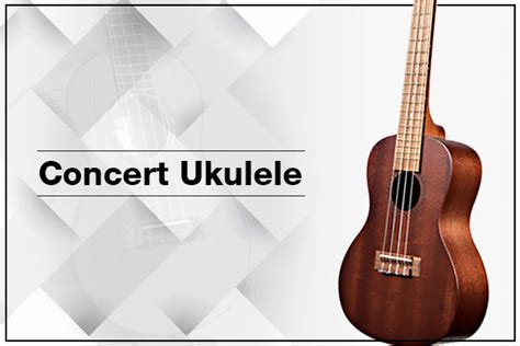 Ukulele Types and Sizes | Ukulele Buying Guide – BAJAAO.COM