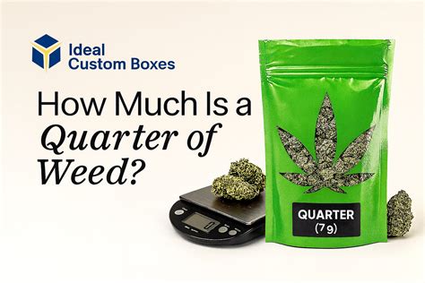 How Much Is a Quarter of Weed? Price, Weight & Usage Guide