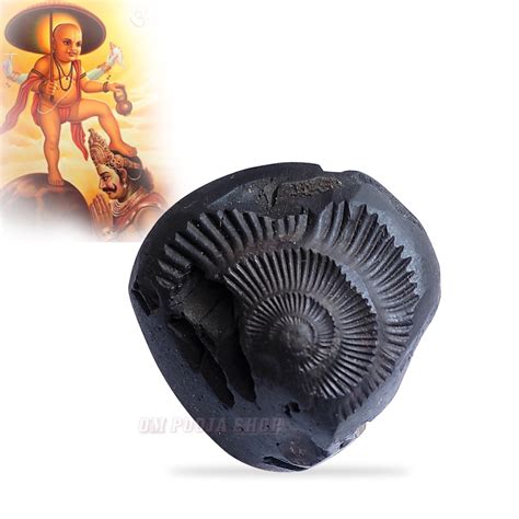 Buy Vamana Vishnu Shaligram Shila Stone online